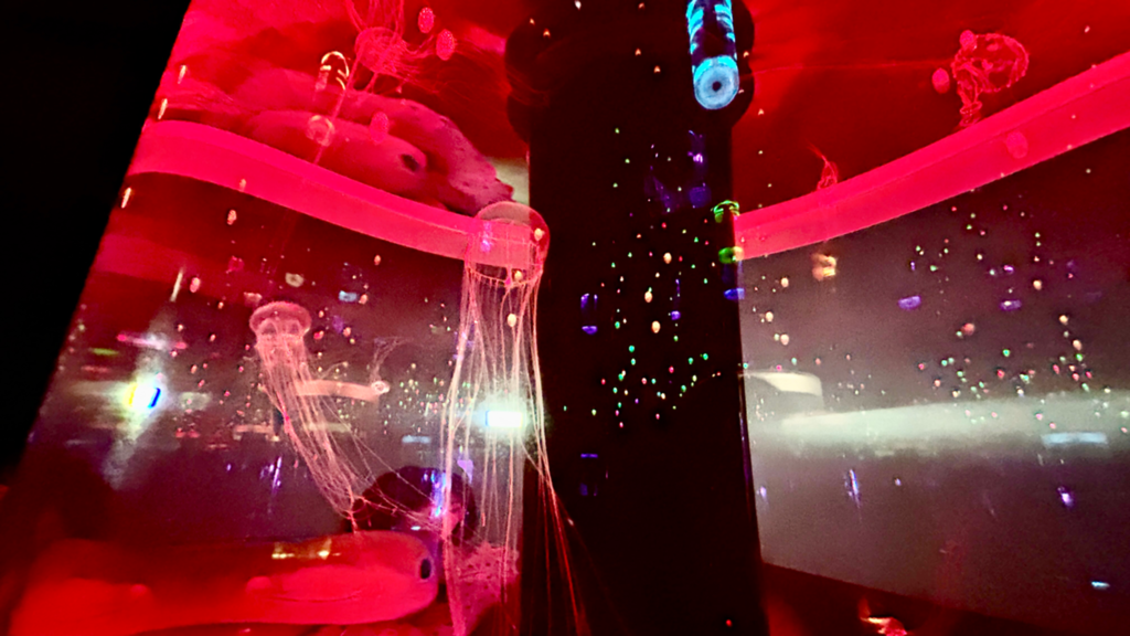 【ブログ】水族館でリフレッシュ